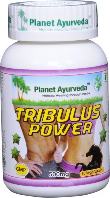 Tribulus power ajurvéda